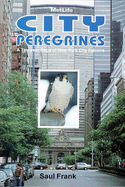 City Peregrines: a ten-year saga of New York falcons