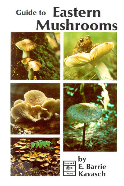 Guide to Eastern Mushrooms