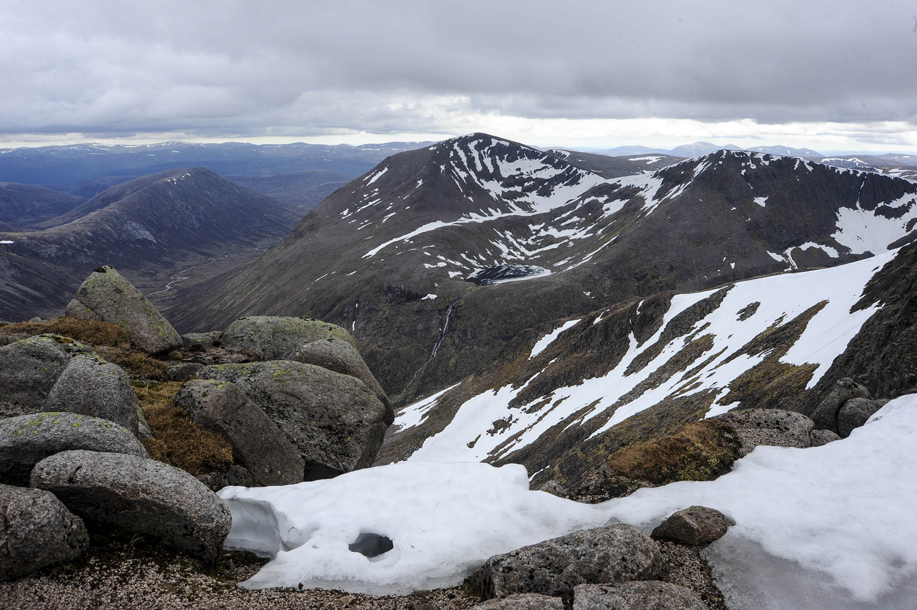 Observations of Golden Eagles in Scotland: a historical and ecological review