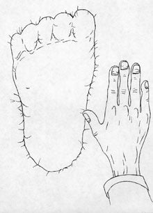 The Locals: a contemporary investigation of the bigfoot//sasquatch phenomenon
