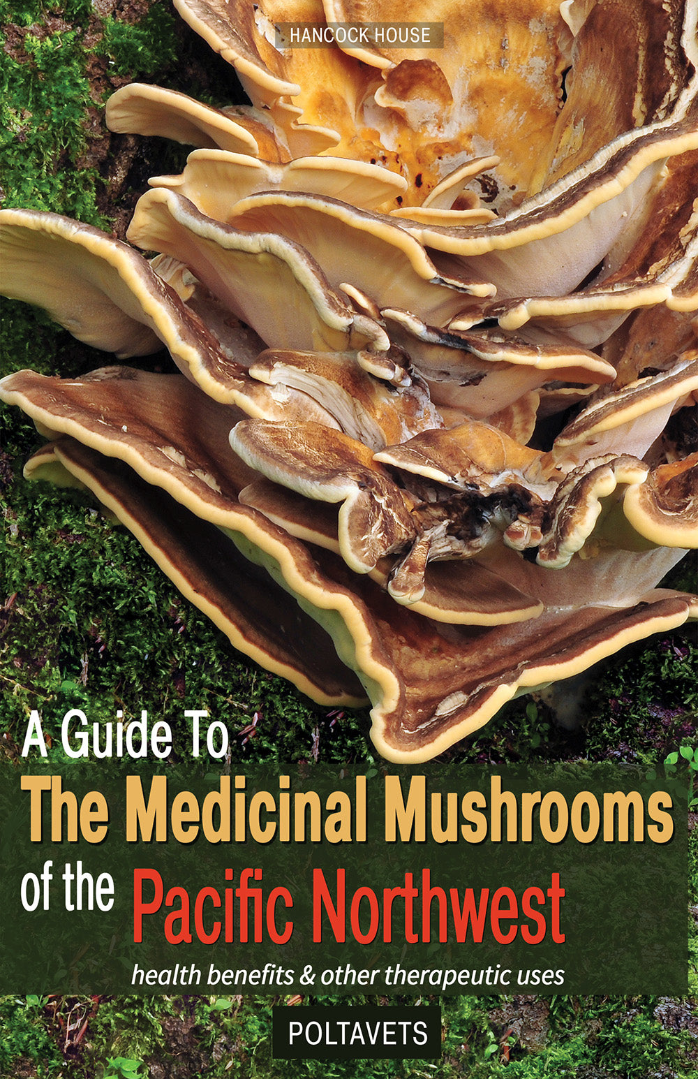 Medicinal Mushrooms of the Pacific Northwest