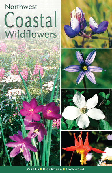 Northwest Coastal Wildflowers