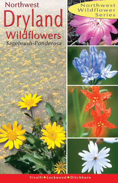 Northwest Dryland Wildflowers: of the sagebrush & ponderosa