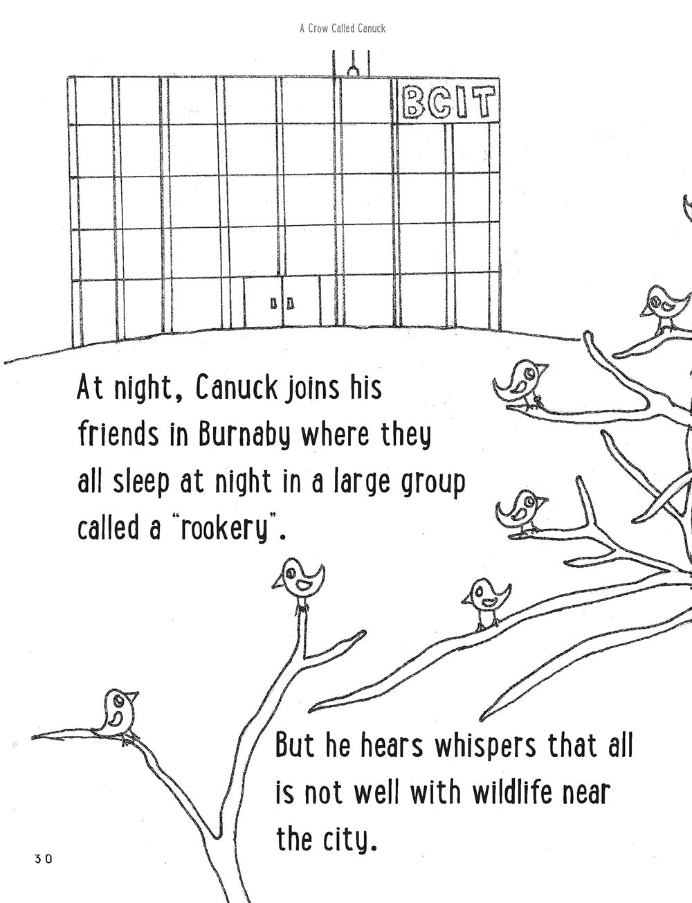 A Crow Called Canuck: a children's activity book