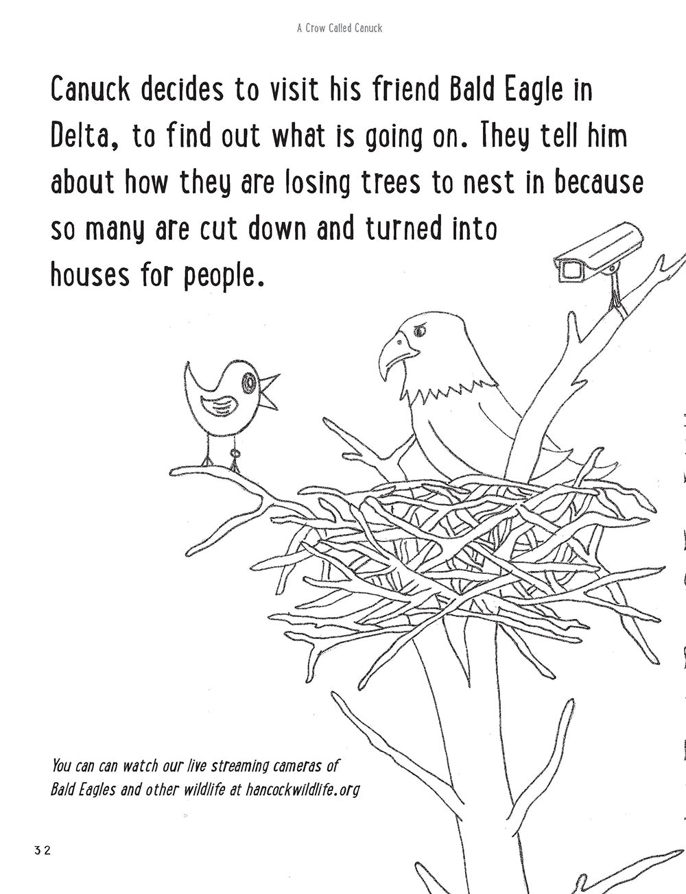 A Crow Called Canuck: a children's activity book