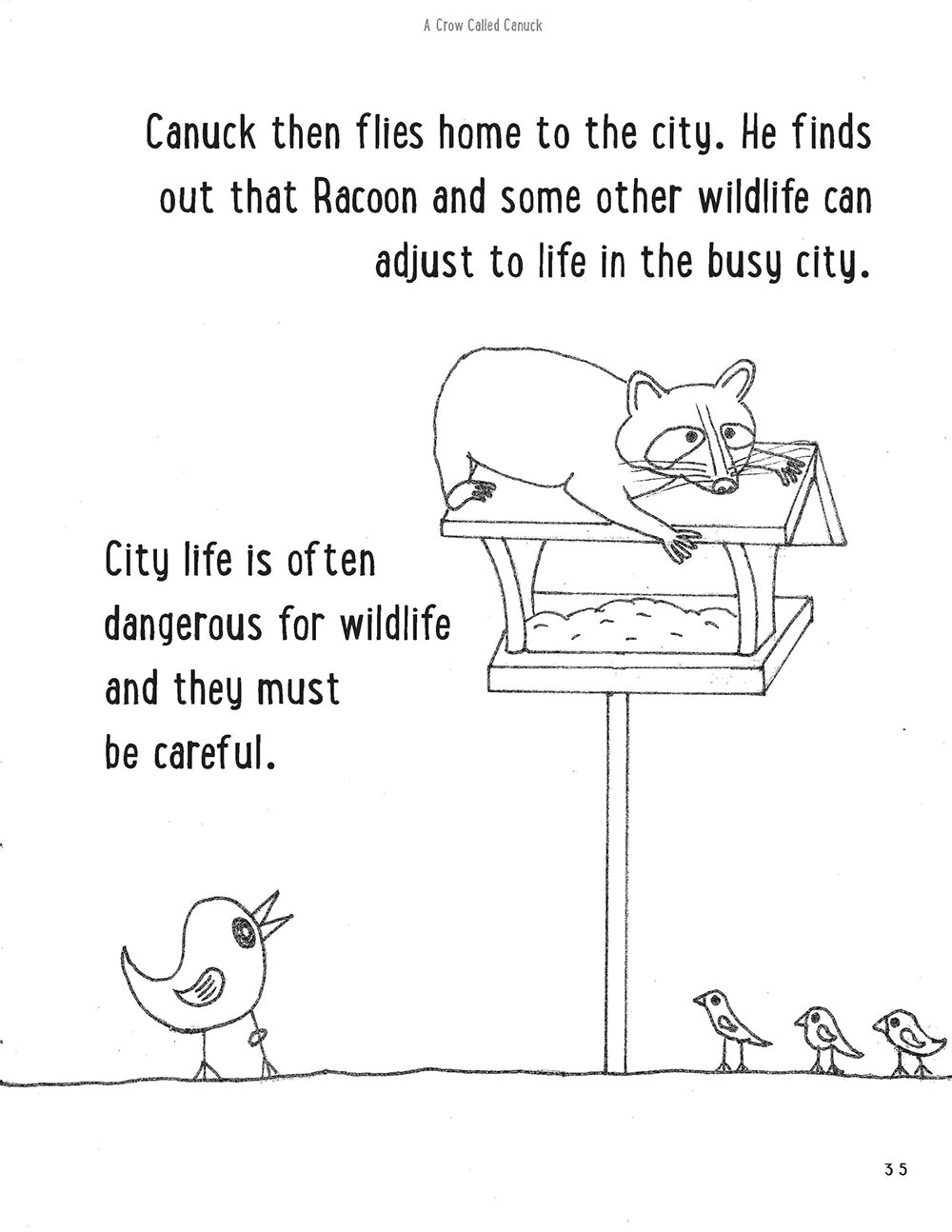 A Crow Called Canuck: a children's activity book