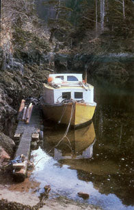 Puffin Cove: a Queen Charlotte Island odyssey