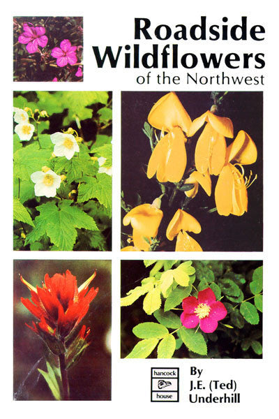 Roadside Wildflowers of the Northwest