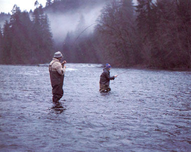 Steelhead: the supreme trophy trout