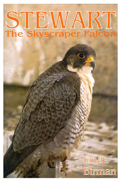 Stewart: the skyscraper falcon