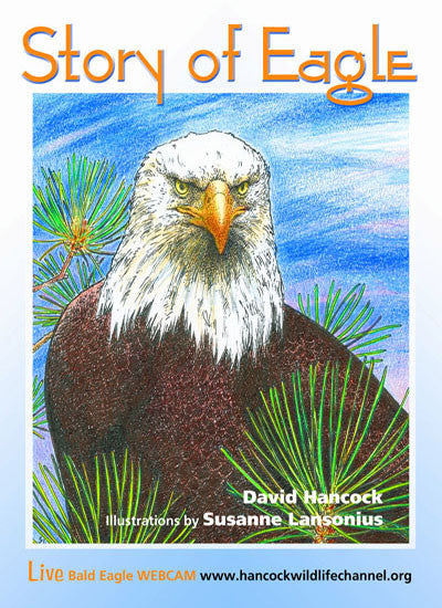 Story of Eagle Activity & Coloring Book