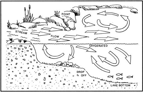 Trout Fishing: the tactical secrets of lake fishing