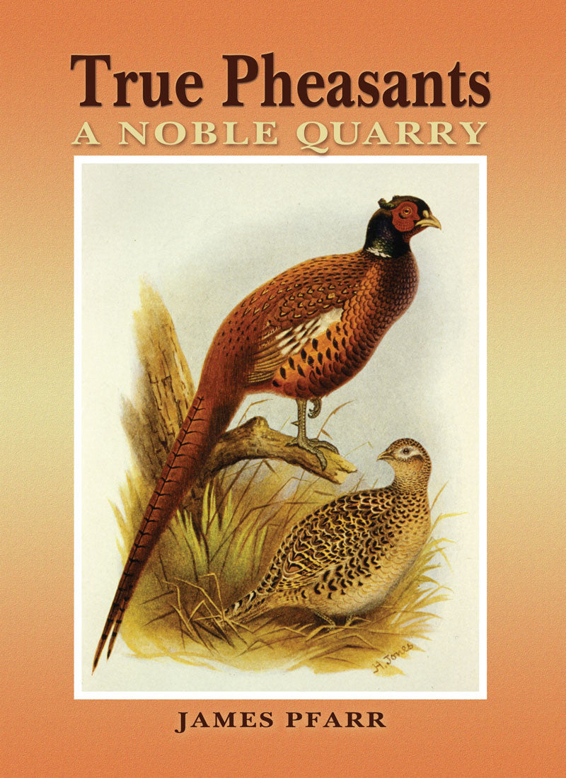 True Pheasants: a noble quarry