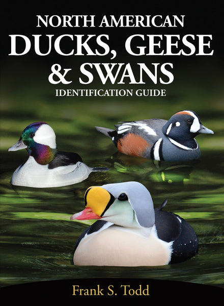 North American Ducks, Geese & Swans: identification guide