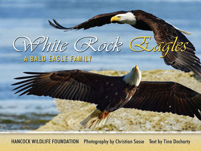 White Rock Eagles: a Bald Eagle family