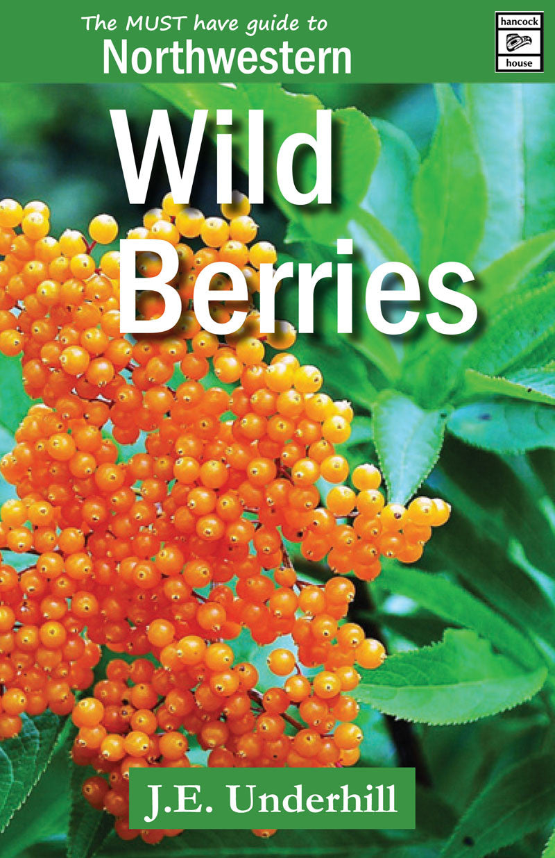 Northwestern Wild Berries