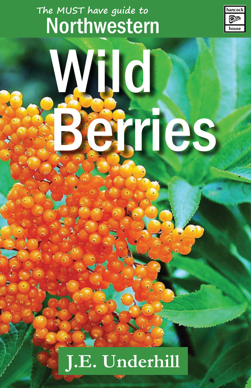 Shipping from Wildberries to Armenia