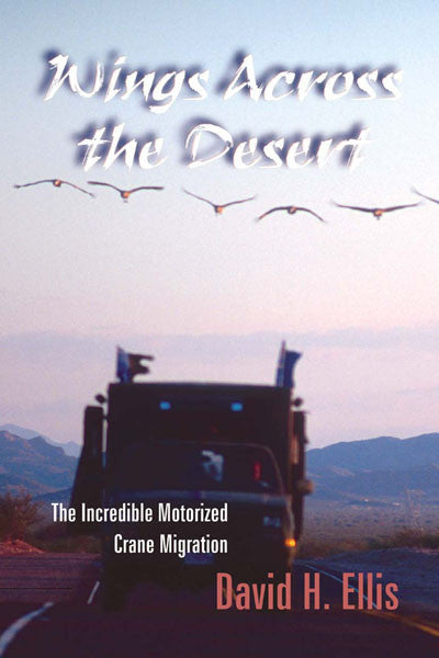 Wings Across The Desert: the incredible motorized crane migration