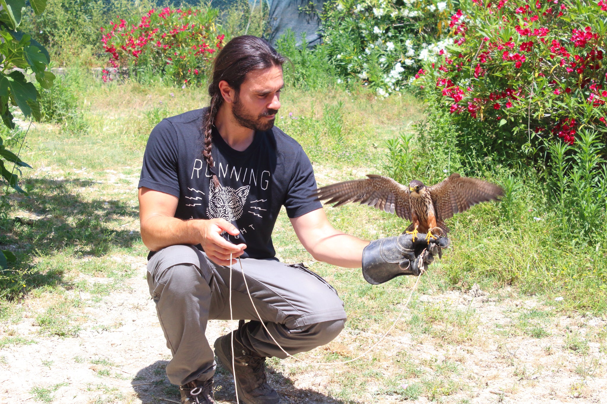 Modern Technologies Applied to Falconry & Reintroduction: the first high-tech training program for birds of prey
