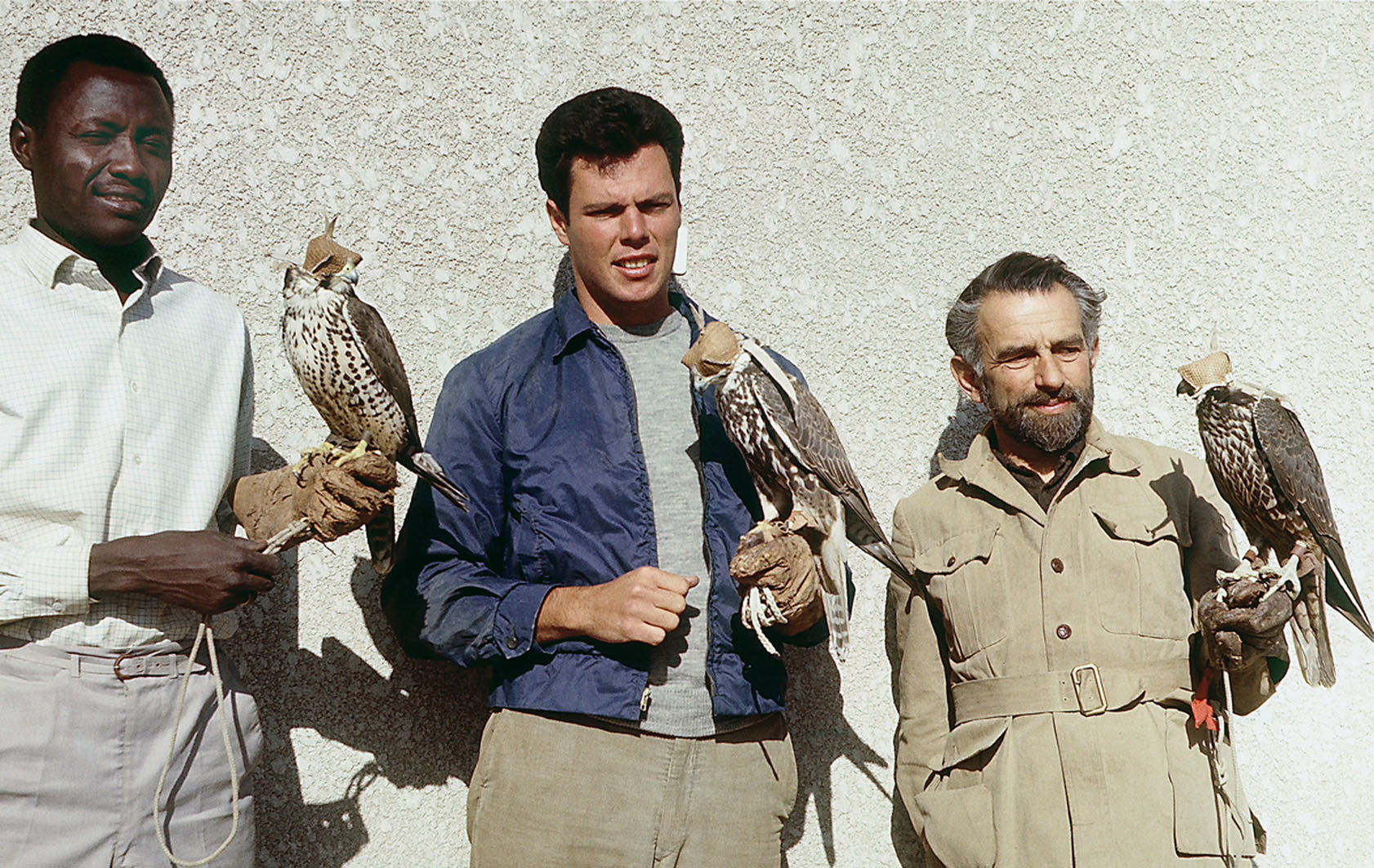 A Young Falconer's Walkabout: hitchhiking through Europe and Africa in the sixties